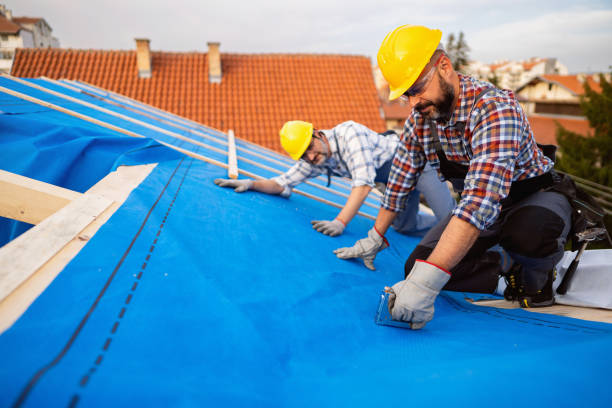 Fast & Reliable Emergency Roof Repairs in Oak Harbor, WA